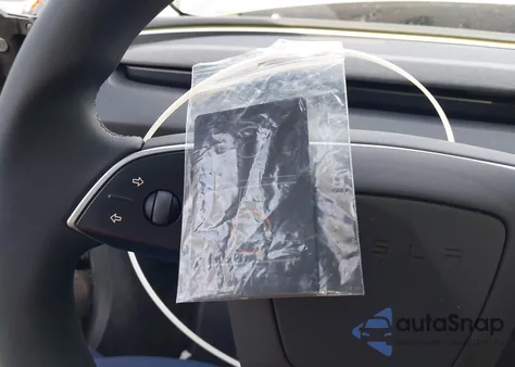 2025 Tesla Model 3 Long Range Rear-Wheel Drive/Standard из США, поврежденный, VIN 5YJ3E1EA2SF075678